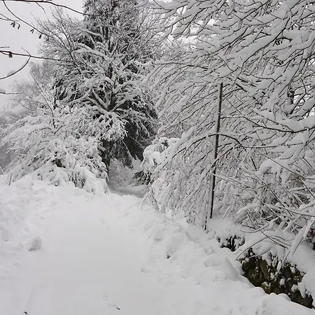 Σπίτι διακοπών Gites Les Merilles Le Ménil