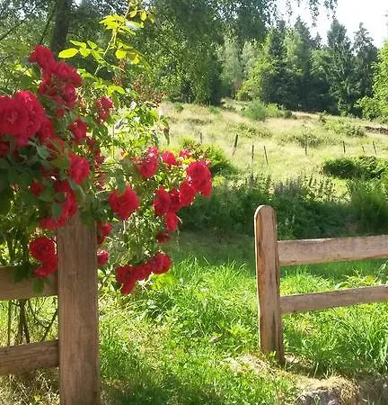 Gites Les Merilles Hébergement de vacances Le Ménil